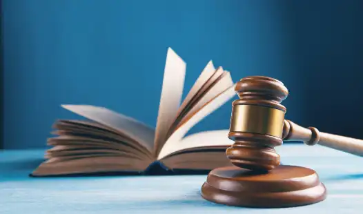 China Legal Services