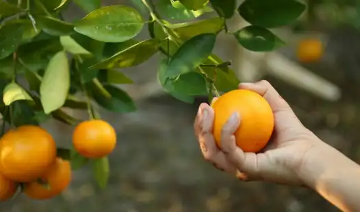 What Is China Partner Sourcing and How It Works?