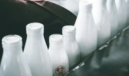 Regulatory Certificate Agency Services for Australian Companies Entering China Dairy Market