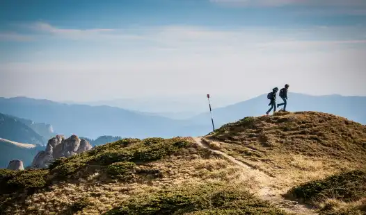 Best China Partner Sourcing Approaches for Startups