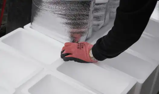 How to Choose Cold Chain Shipping for Pharma Imports to China