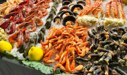 China Logistics Solutions for Australian Seafood: Fresh Salmon & Lobster Market Entry Guide