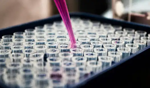 How Long Does Pharma Cold Chain Clearance Take in China?