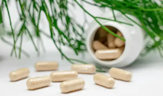 Dietary Supplement Registration China vs Filing Explained