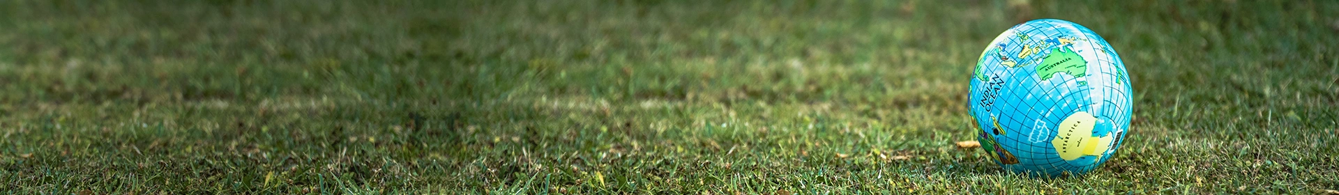 China's Business Landscape